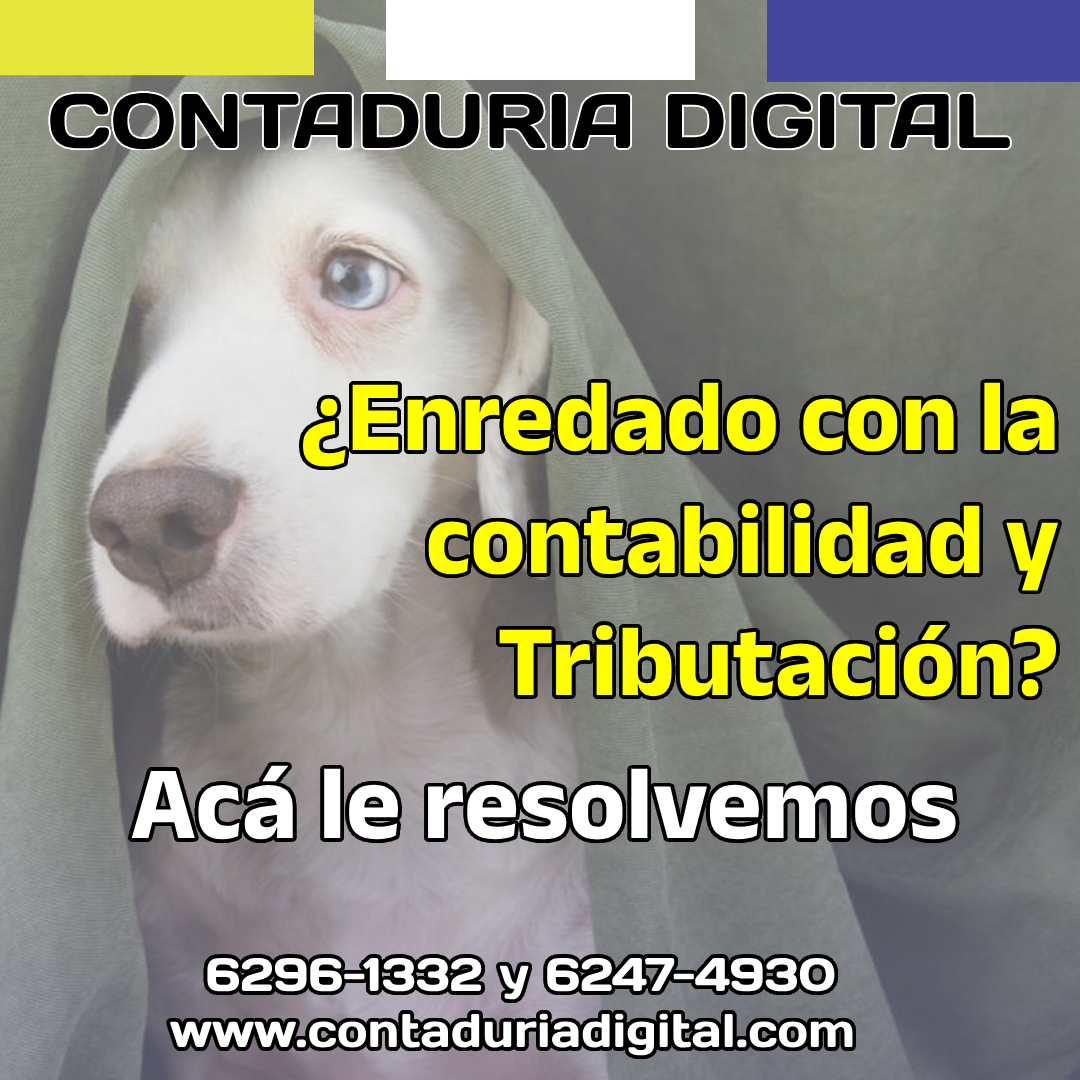 cropped-bannerperro1.png